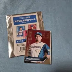 FIGHTERS アクリルスクエアシール 水野達稀