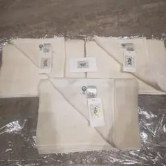 Item thumbnail for item 93754f61-18b5-4f44-ae92-a1c5e3b7ed10