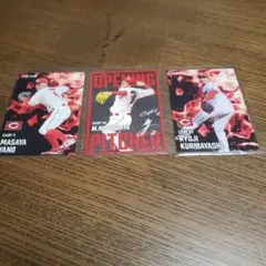 プロ野球チップスカード 広島東洋カープ