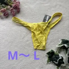 Item thumbnail for item 2b3f8852-1c37-4a0d-9f15-101e7fa81e53