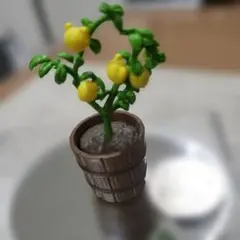 Item thumbnail for item 41b15b3f-232e-47f6-87a5-d46d32245c68