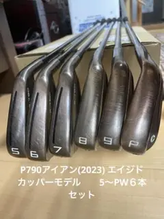 2025年最新】p790 カッパーの人気アイテム - メルカリ