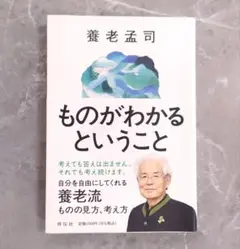 ものがわかるということ