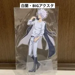 家庭教師ヒットマンREBORN くじ　ひこくじ　白蘭　アクスタ②