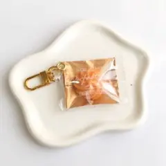 絞り出しクッキー パッケージチャーム キーホルダー