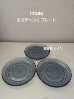 廃盤色！iittala★カステへルミ★プレート★3セット