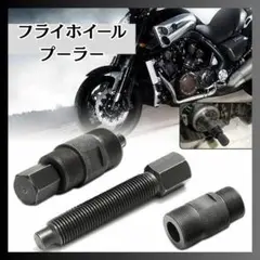 Item thumbnail for item 91d6de01-2501-4bc7-bd84-3f35016ccb86