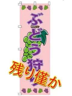 のぼり旗 ぶどう狩り シャインマスカット
