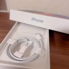 iPhone 充電器 純正 ライトニングケーブル 新品 Apple正規 タイプC