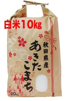 秋田県産あきたこまち10kg