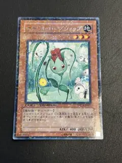 遊戯王　ナチュルローズウィップ