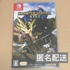 匿名配送 動作確認済み Switch モンスターハンターライズ モンハンライズ