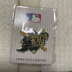 MLB ピンバッジ　タンパベイ
