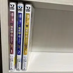 コキ使われて追放された元Sランクパーティのお荷物魔術師の成り上がり　1〜3巻完結
