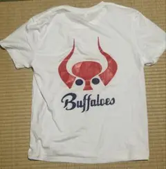 Buffaloes 近鉄バファローズ Tシャツ 2XL バックプリント