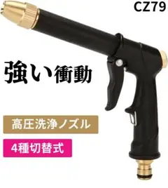 Item thumbnail for item 8e5e8dee-b85b-42c5-8558-d64359d29fb4