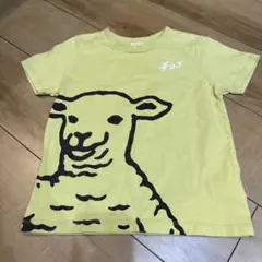 graniph チョップ Tシャツ 110