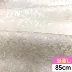 573 お値打ち品！正絹はぎれ 少しクリームより系 銀通し模様織柄生地 85cm