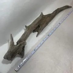 Item thumbnail for item d9e812df-7bd9-4ba9-aa9f-9605ebd37108