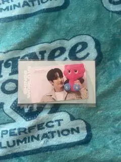 【新品未開封】SHINee シャイニー カードカバー ステッカー キー