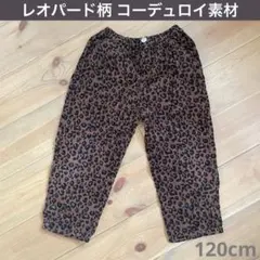 Item thumbnail for item 898f778b-335a-46d1-9d2e-4aa52e399d4d