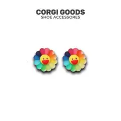 【新商品】 2点セット クロックス ジビッツ FN