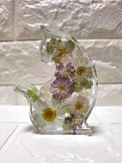【訳あり】固まるハーバリウム ねこの中のお花畑