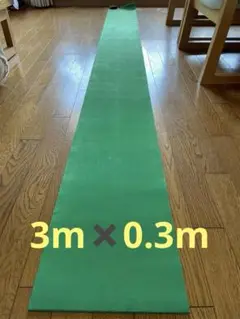 【芝目あり】パター練習用グリーンマット3m