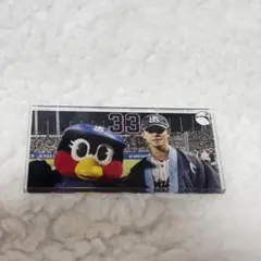 内山壮真 つばみ アクリルプレート キーホルダー スワサマ