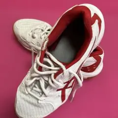 Item thumbnail for item ba8006e6-300f-4cd6-83e3-1e428e15fd22