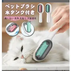 Item thumbnail for item 2265e18f-a6c9-40ad-8aaf-f34aeb6e5c0b