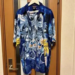 Item thumbnail for item 28d10ad0-3484-4e39-bd2a-c294191a0464