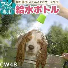 Item thumbnail for item 9c82101a-a12a-43fa-bd19-6dfde03a019e