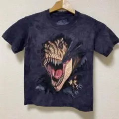 THE MOUNTAIN プリントTシャツ　 ペンギン　キッズ　Sサイズ