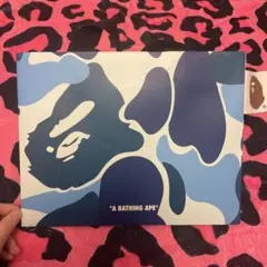 Item thumbnail for item 8a716280-1656-48b9-a7ef-3b734fb68178