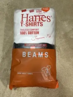 BEAMS Hanes Japan Fit クルーネックTシャツ 2枚セット M