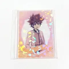REBORN ナンジャタウン ミニゲーム キラキラアクリルシート 沢田綱吉 ツナ