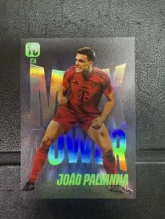 PANINI サッカートレカ　パリーニャ　バイエルン
