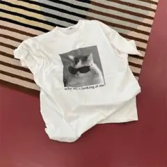 即日発送chikasitsu + Tシャツ
