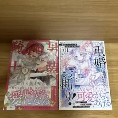 男装騎士はエリート騎士団長から離れられません!
