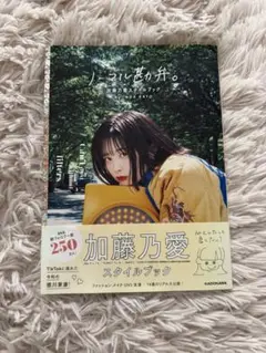 ノーマル勘弁。加藤乃愛スタイルブック