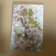 【本日限定価格】ポストカード イラスト