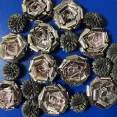Item thumbnail for item e84df85e-f33f-4905-a405-8ac60dc53cbd