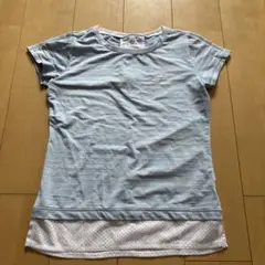 バモラ水色 ストライプ Tシャツ