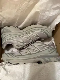 SALOMON XT6ゴーストグレー26