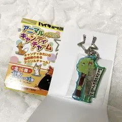 ハイキュー アニマルキャンディチャーム シークレット