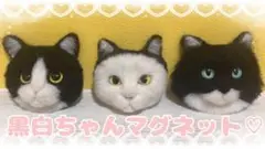 羊毛フェルト　猫　うちの子オーダー　マグネット　プローチ　オーダーページ