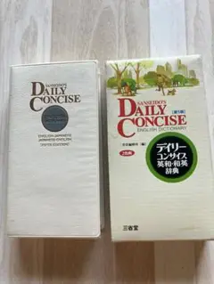 【難有】デイリーコンサイス英和・和英辞典