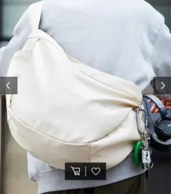 Item thumbnail for item 40972d93-209d-401a-8795-c02d8e1aeead