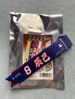 Eコレ　ボンフィン　8 辰己
